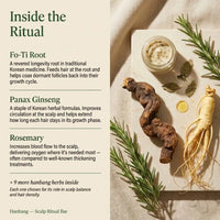 Hanbang Scalp Ritual Bar